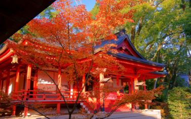 【令和に巡りたい！】東京の三大縁結び神社と周辺の恋愛パワースポットを一日にたくさん巡る２つのルート　アイキャッチ