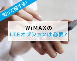 WiMAXのLTEオプション
